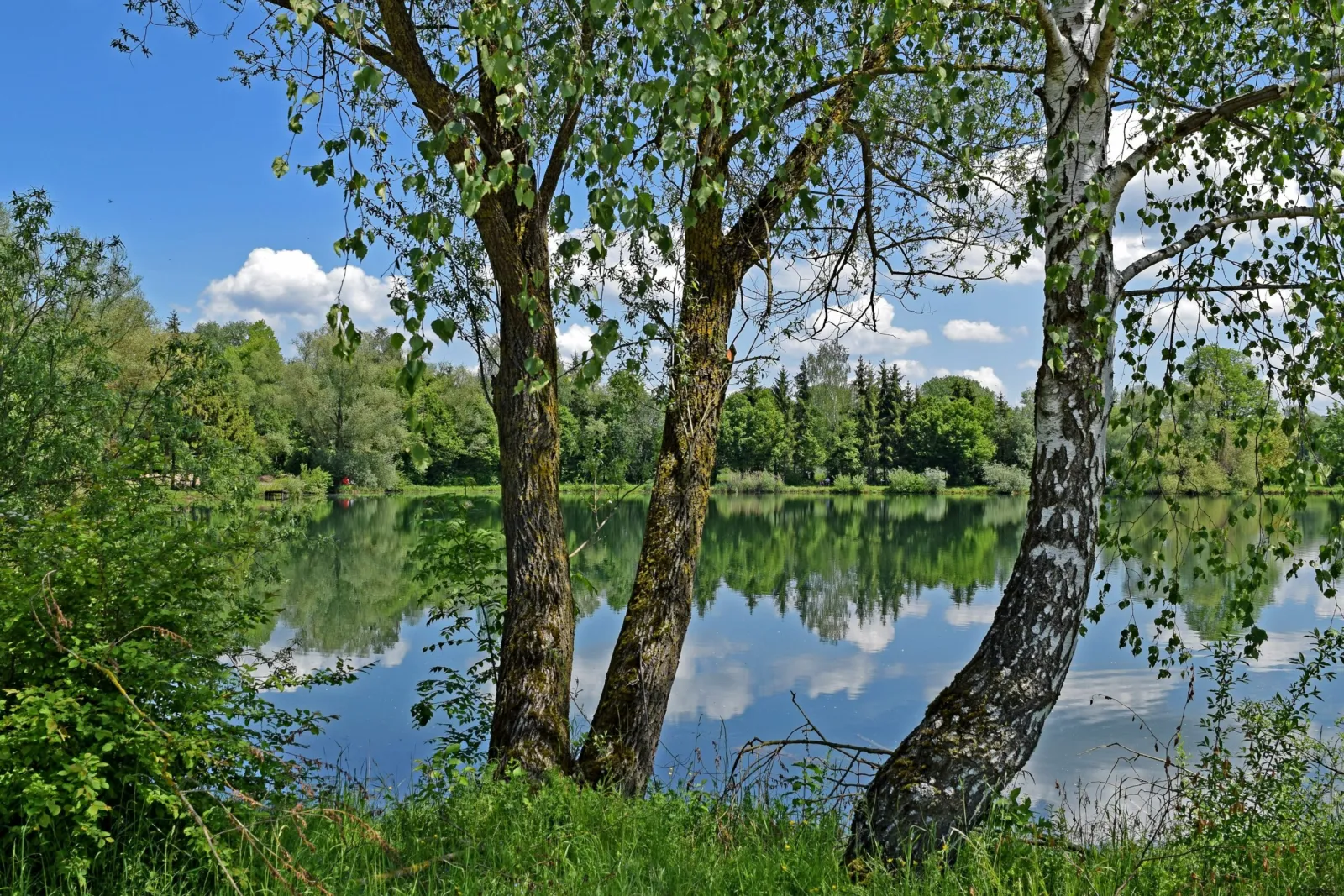Ota yhteyttä